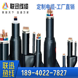 預(yù)分支電纜